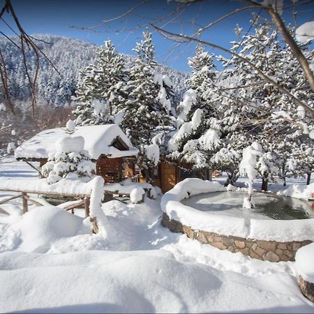Abant Yesil Vadi Koc Pansiyon Dereceören Exterior foto